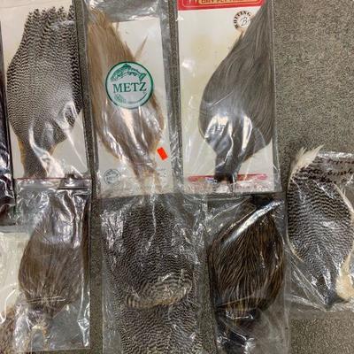 #21 Misc. Bird Feathers