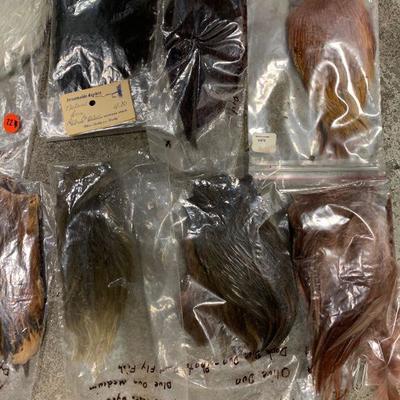 #22 Misc Bird Feathers