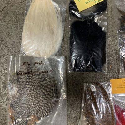 #24 Misc. Bird Feathers