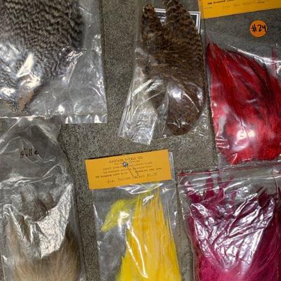 #24 Misc. Bird Feathers