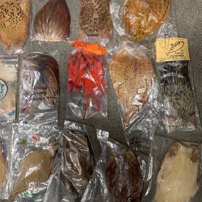 #25 Misc. Bird Feathers