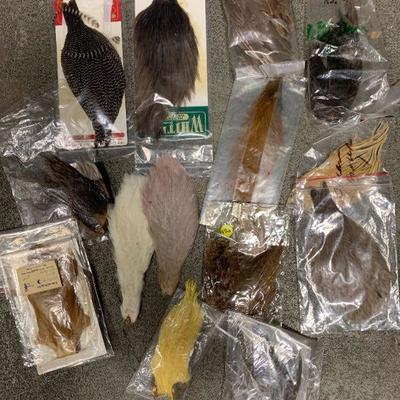 #26 Misc. Bird Feathers