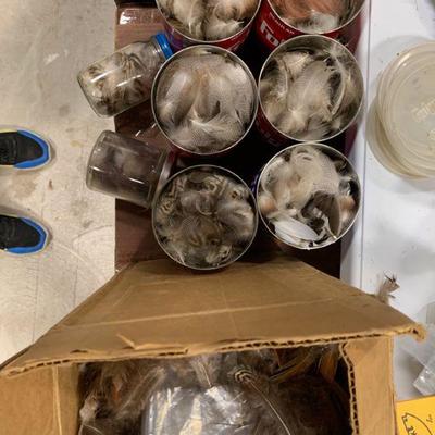 #27 Coffee Cans & Box Full of Feathers