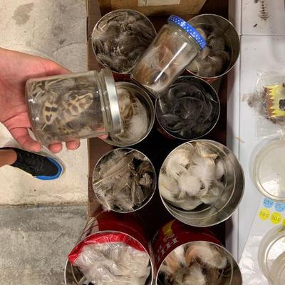 #28 Coffee Cans Full of Feathers
