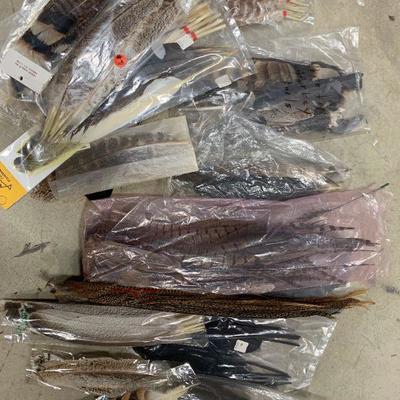 #41 Misc Feathers