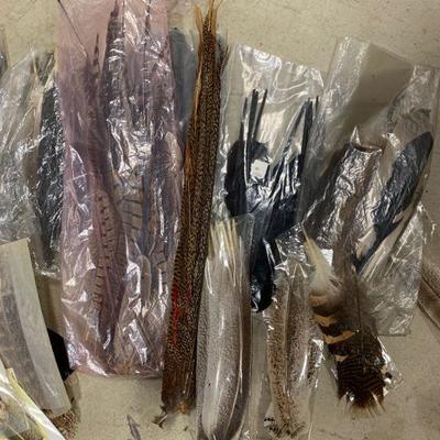 #41 Misc Feathers
