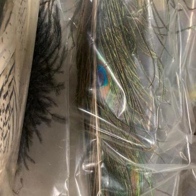 #43 Misc. Feathers