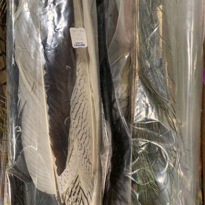 #43 Misc. Feathers