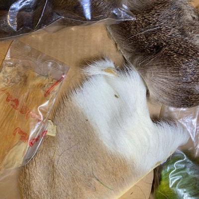 #46 Misc. Animal Furs