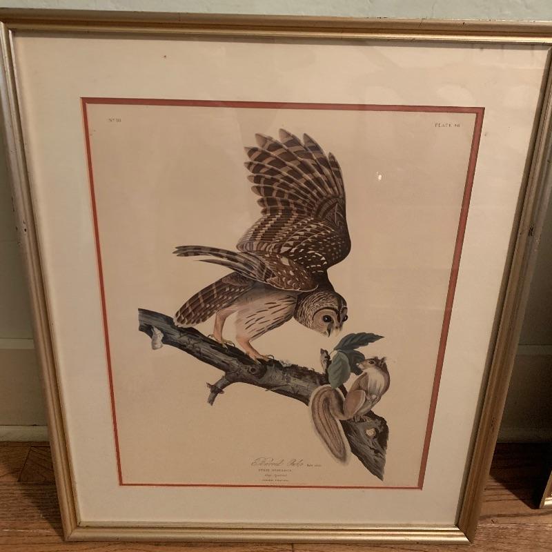 Lot 102 Pair of Audubon Prints