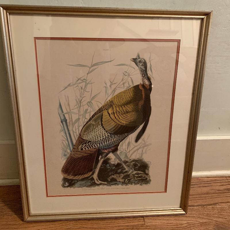 Lot 102 Pair of Audubon Prints