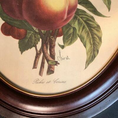 Oval Dark Frame Fruit Art