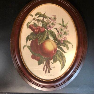 Oval Dark Frame Fruit Art