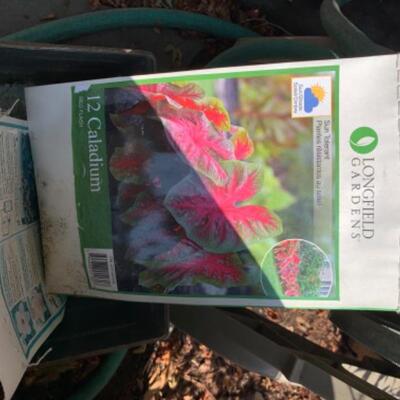 77.  Wheelbarrow, hose, holder, garden drum, bulbs, etc.