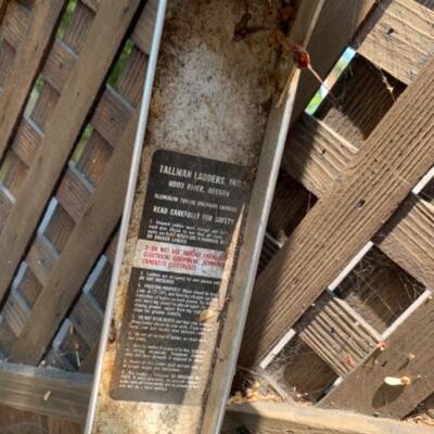 79.  Orchard 10-foot ladder