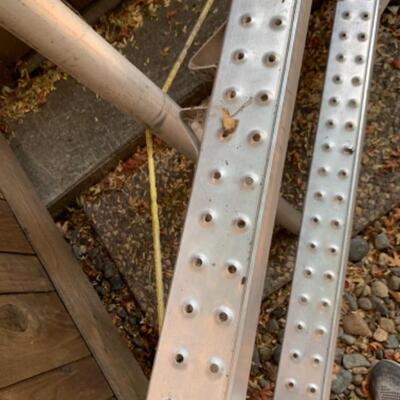 79.  Orchard 10-foot ladder