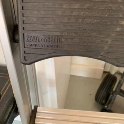 87.  Hand cart and step ladder