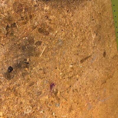 W36: Hirsch Tool Bench