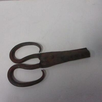 Lot 48 - Vintage Scissors 