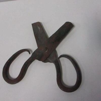 Lot 48 - Vintage Scissors 
