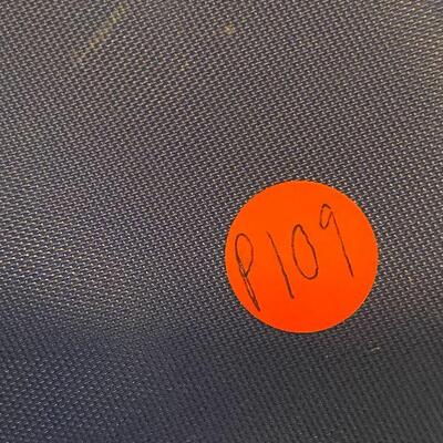 P109: Leap Frog Leap Pad w/Books & Cartridges