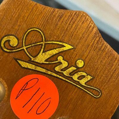 P110: Aria Ukele & Aloha Sign