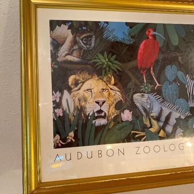 Audubon Zoological Garden • NOLA
