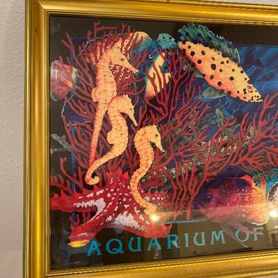 Aquarium Of the Americas â€¢ New Orleans 