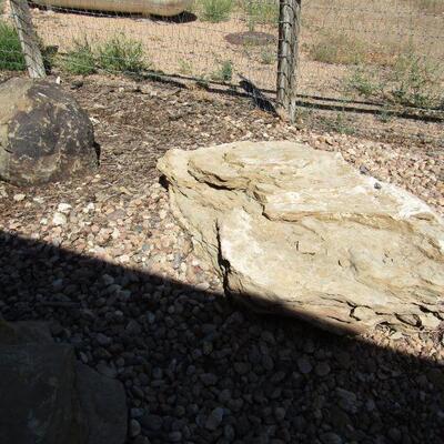 SOME OF THE THINGS YOU CAN PURCHASE DURING PICK-UP