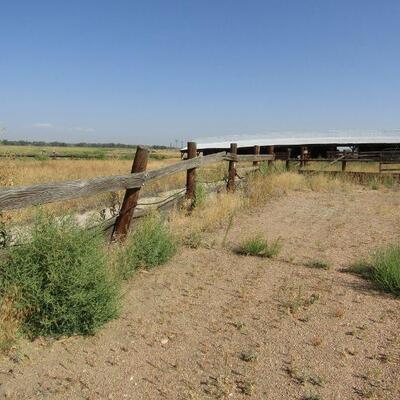 SOME OF THE THINGS YOU CAN PURCHASE DURING PICK-UP