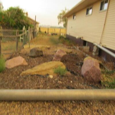 SOME OF THE THINGS YOU CAN PURCHASE DURING PICK-UP