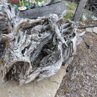 SOME OF THE THINGS YOU CAN PURCHASE DURING PICK-UP