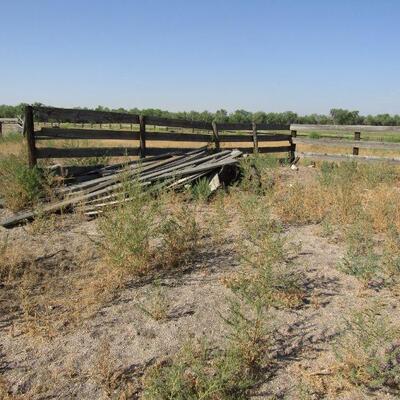 SOME OF THE THINGS YOU CAN PURCHASE DURING PICK-UP