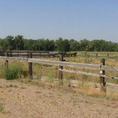 SOME OF THE THINGS YOU CAN PURCHASE DURING PICK-UP