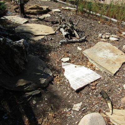 SOME OF THE THINGS YOU CAN PURCHASE DURING PICK-UP