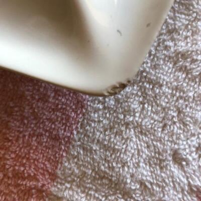 Whittier Potteries Divided Serving Plate with Removable Dip Bowl