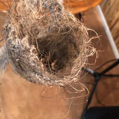 #15 Basket of sticks with a bird nest.