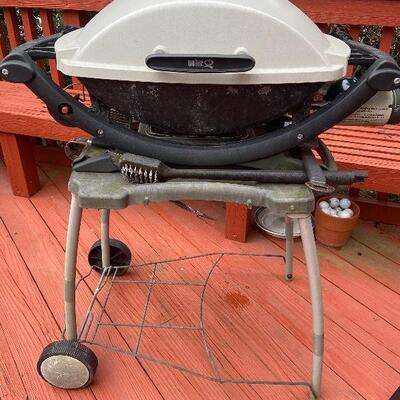 D2:  Weber Grill