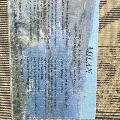 G124: 2'x7' Brown Print Rug