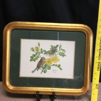 Bird with Rose Flowers Framed Print Whitethroat Linnet