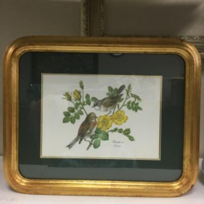 Bird with Rose Flowers Framed Print Whitethroat Linnet