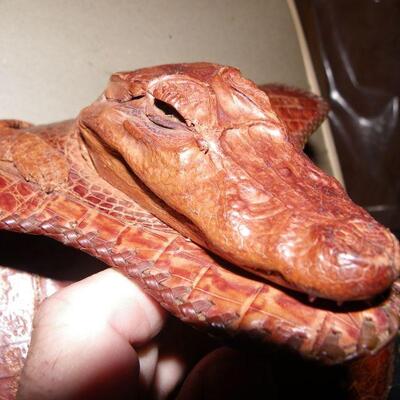 " Vintage Alligator pocket book from Cuba".