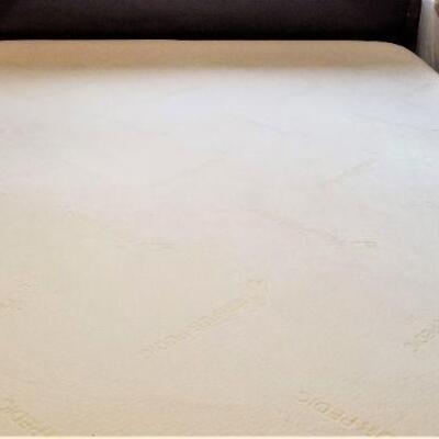 Lot #116  Contemporary Sleigh Bed with Queen Sized Tempur-Pedic Mattress