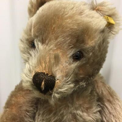 Antique Steiff  14â€ Mohair Jointed Bear with Tag