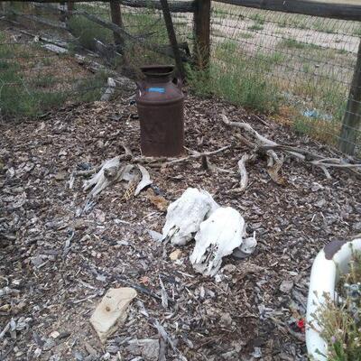 MORE THINGS YOU CAN BUY DURING PICK UP