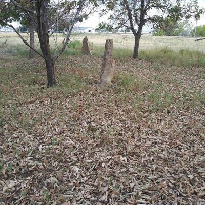 MORE THINGS YOU CAN BUY DURING PICK UP