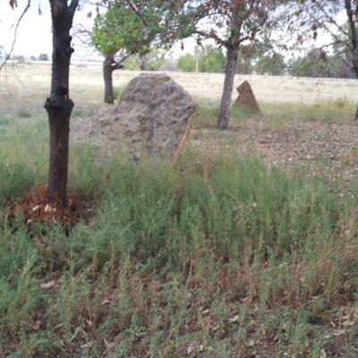 MORE THINGS YOU CAN BUY DURING PICK UP