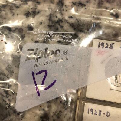 Coin Lot #12