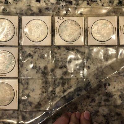 Coin Lot #13