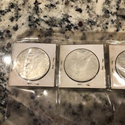 Coin Lot #13